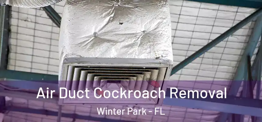  Air Duct Cockroach Removal Winter Park - FL