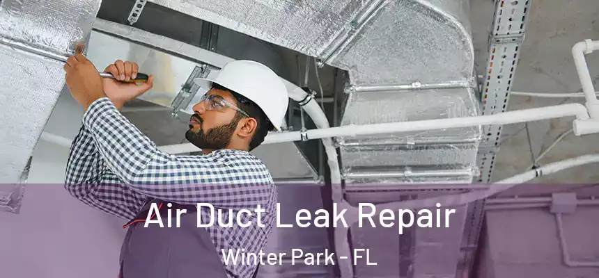  Air Duct Leak Repair Winter Park - FL