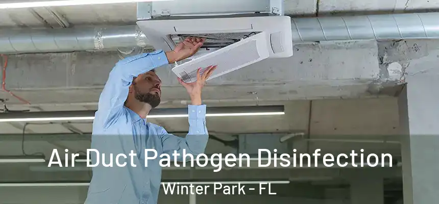  Air Duct Pathogen Disinfection Winter Park - FL