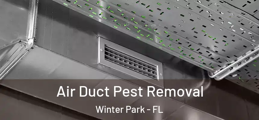  Air Duct Pest Removal Winter Park - FL
