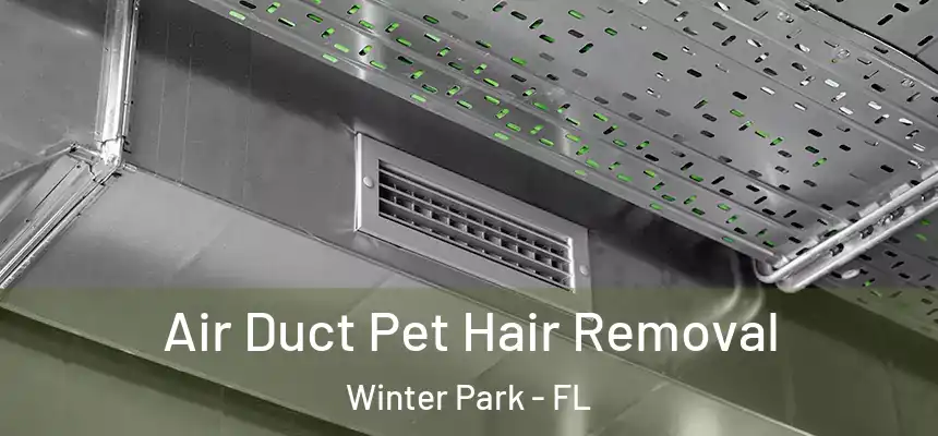  Air Duct Pet Hair Removal Winter Park - FL