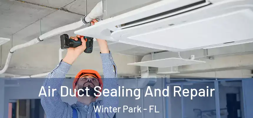 Air Duct Sealing And Repair Winter Park - FL