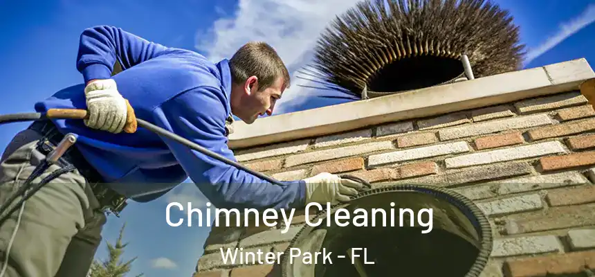  Chimney Cleaning Winter Park - FL