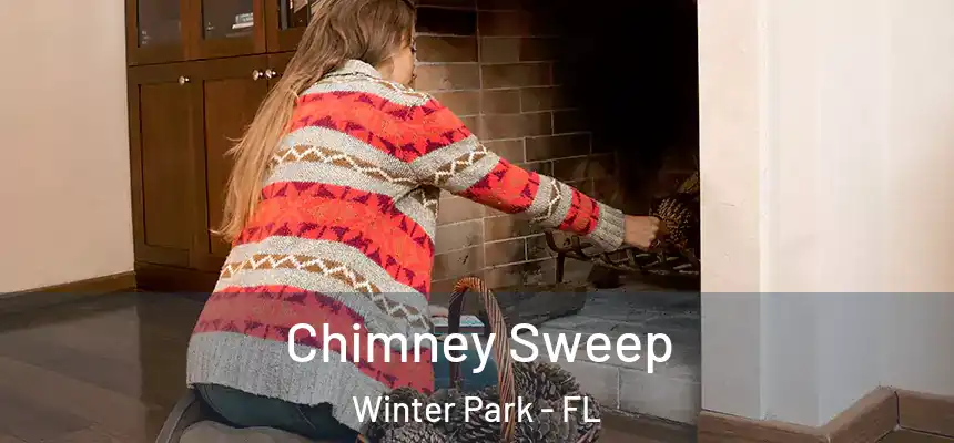 Chimney Sweep Winter Park - FL
