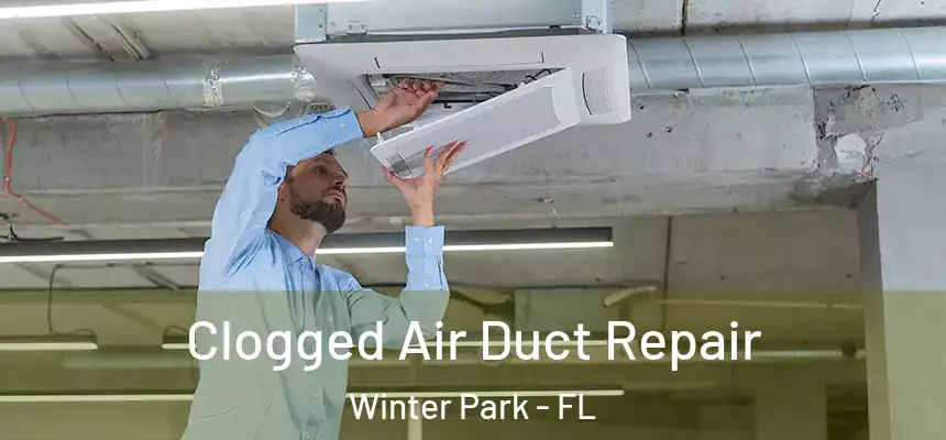  Clogged Air Duct Repair Winter Park - FL