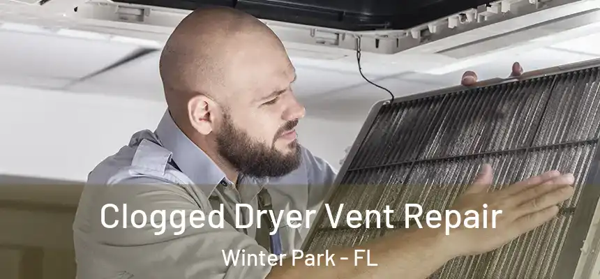  Clogged Dryer Vent Repair Winter Park - FL