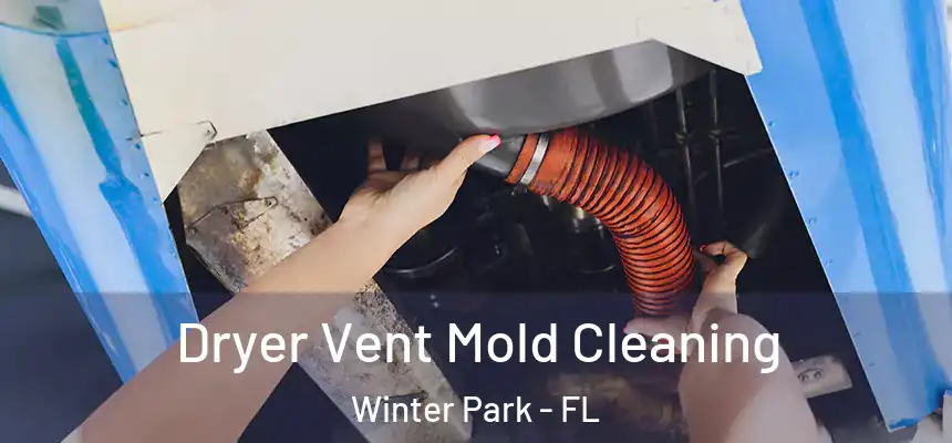 Dryer Vent Mold Cleaning Winter Park - FL