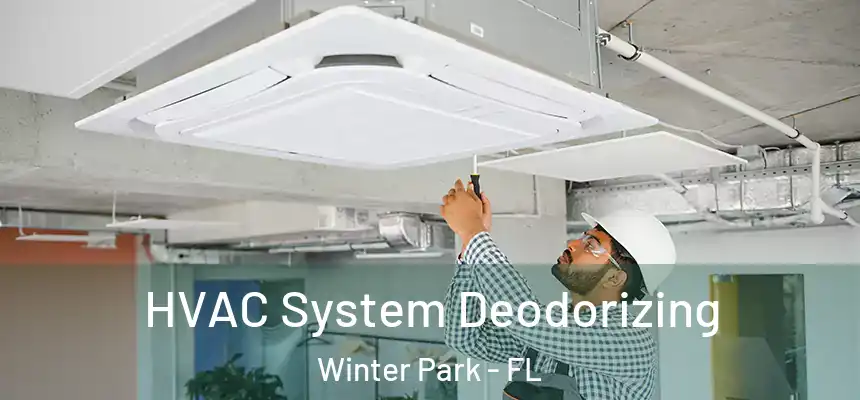  HVAC System Deodorizing Winter Park - FL