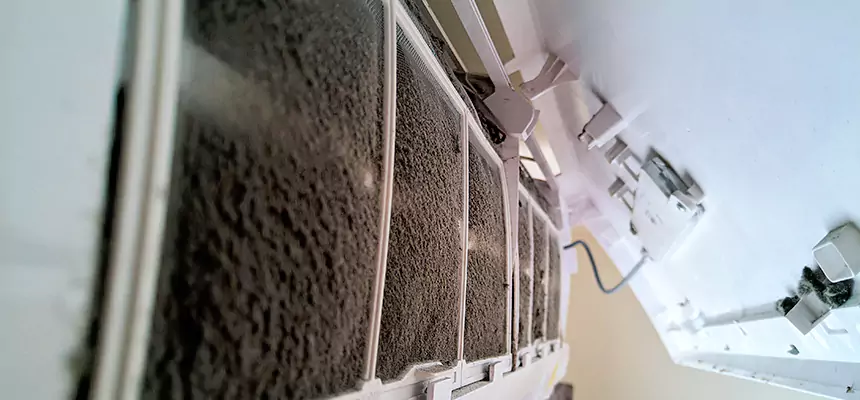 Preventive Air Duct Bacteria Removal in Winter Park