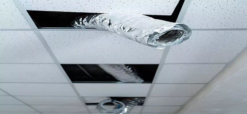 Affordable HVAC Sanitizing After Pest Removal in Winter Park