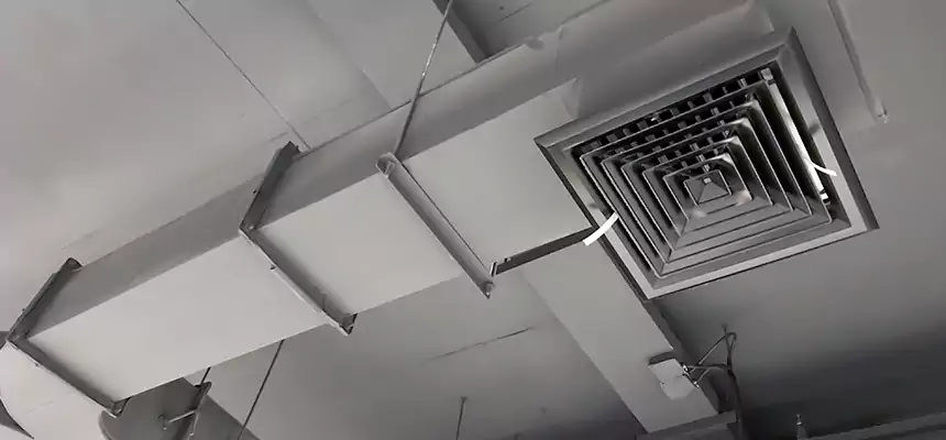 Restorative Allergy Relief Vent Cleaning – Coil, Blower & Housing Detail in Winter Park