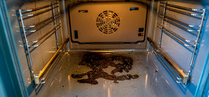 Our Dryer Vent Mold Cleaning Services in Winter Park, FL