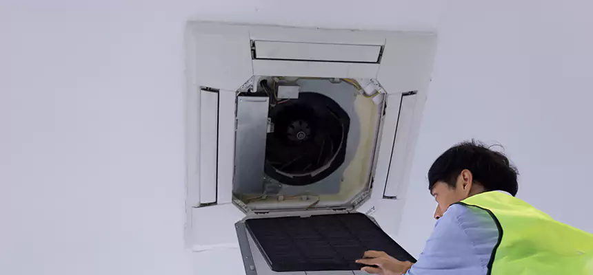 Our Dryer Vent Sanitization Service Services in Winter Park, FL