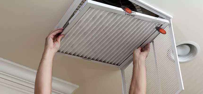 Our Insect Removal from Air Ducts Services in Winter Park, FL