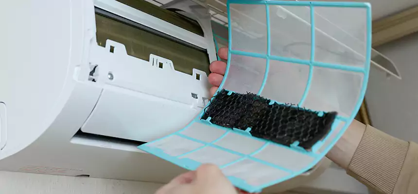 Gentle Ductwork Odor-Control Pet Dander Duct Cleaning in Winter Park, FL