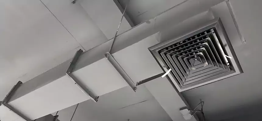 Our Rodent Droppings In Vents Services in Winter Park, FL