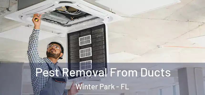  Pest Removal From Ducts Winter Park - FL