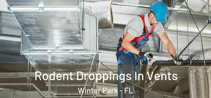 Rodent Droppings In Vents Winter Park - FL