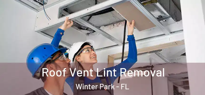  Roof Vent Lint Removal Winter Park - FL