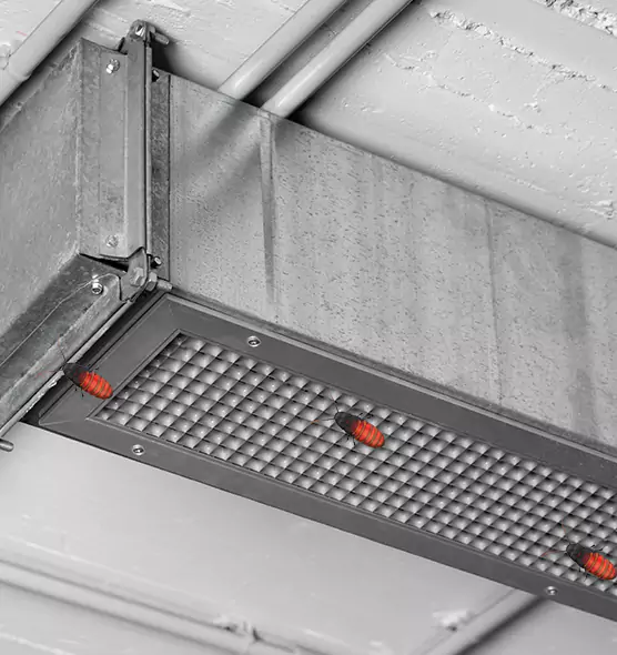 About Air Duct Cockroach Removal in Winter Park, FL