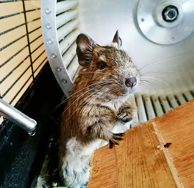 Why Homeowners & Businesses Trust Us Winter Park, FL?