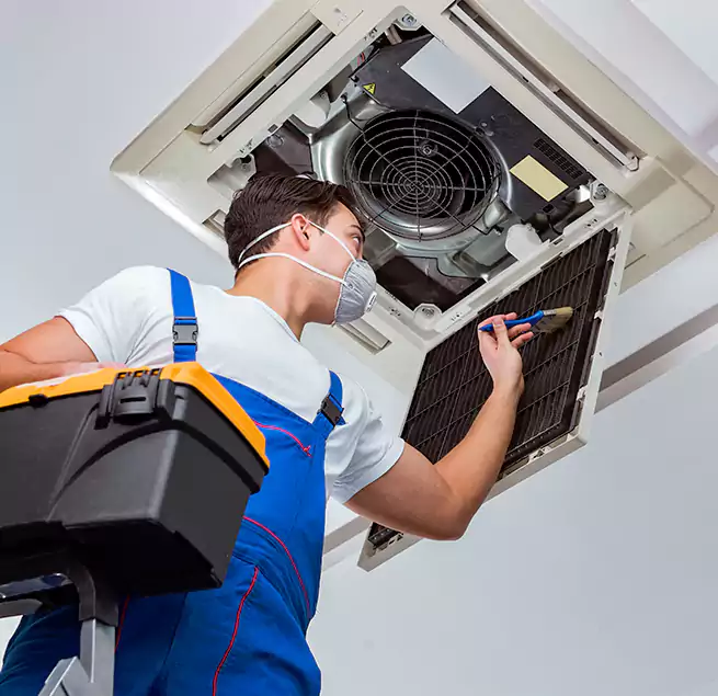 Why Homeowners & Businesses Trust Us in Winter Park, FL