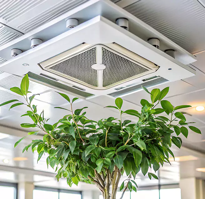 Why Homeowners & Businesses Trust Us in Winter Park, FL