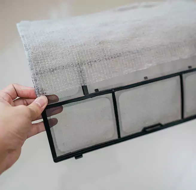 Why Homeowners & Businesses Trust Us in Winter Park, FL?