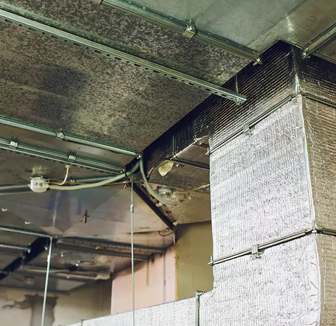 Why Homeowners & Businesses Trust Us in Winter Park, FL?