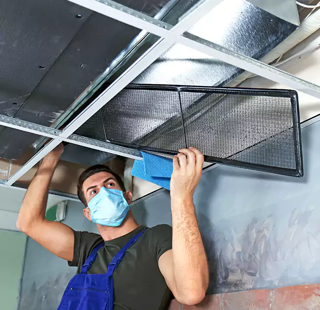 Why Homeowners Businesses Trust Us in Winter Park, FL